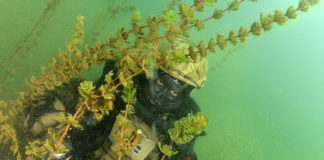 Les plongeurs de combat du 1er REG à l’entraînement