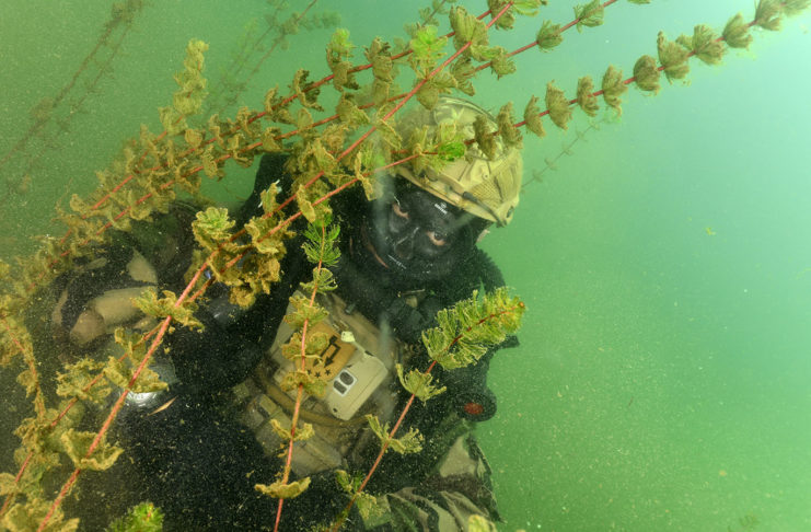 Les plongeurs de combat du 1er REG à l’entraînement