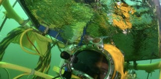 Devenez scaphandrier avec l’Ecole Nationale des Scaphandriers