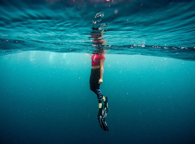 Comment bien choisir son lestage de plongée et chasse sous-marine