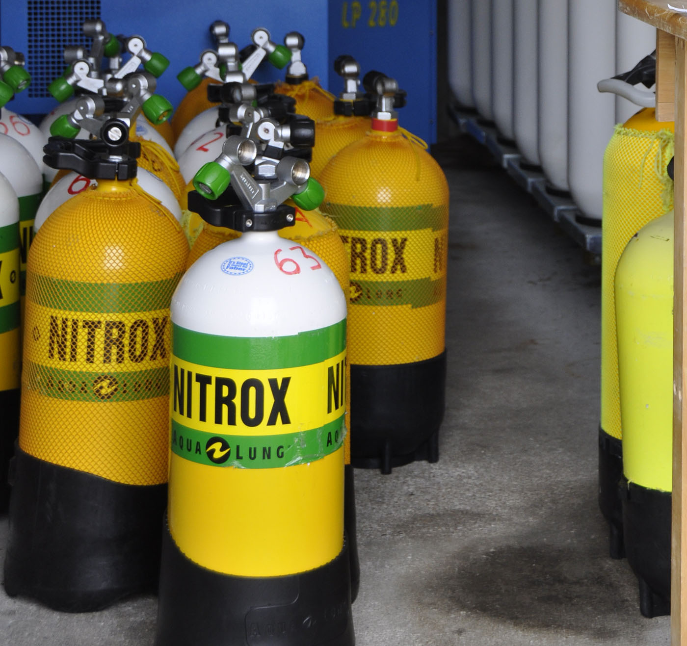 Plonger au Nitrox, est-ce vraiment si compliqué ? - Plongée Infos