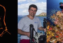 Patrick Désormais, l’œil naturaliste