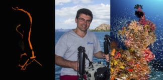 Patrick Désormais, l’œil naturaliste