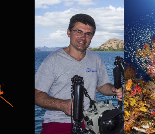 Patrick Désormais, l’œil naturaliste