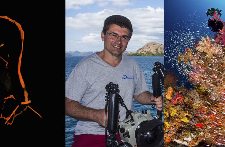 Patrick Désormais, l’œil naturaliste