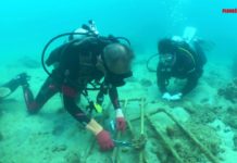 Le bouturage des coraux avec Ocean Quest et le centre Tioman Lovers