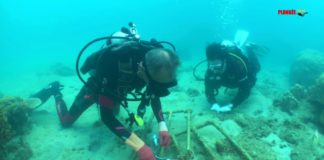 Le bouturage des coraux avec Ocean Quest et le centre Tioman Lovers