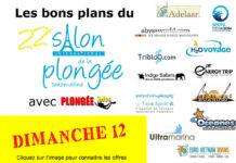 Les bons plans du dimanche au Salon de la Plongée 2020 !