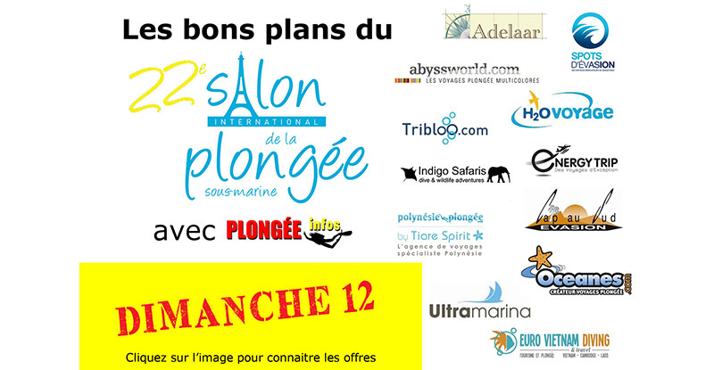 Les bons plans du dimanche au Salon de la Plongée 2020 ! - Plongée Infos