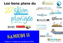 Salon de la Plongée 2020 : les bons plans du samedi !
