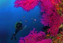 Les couleurs de la Méditerranée