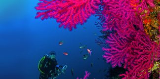 Les couleurs de la Méditerranée