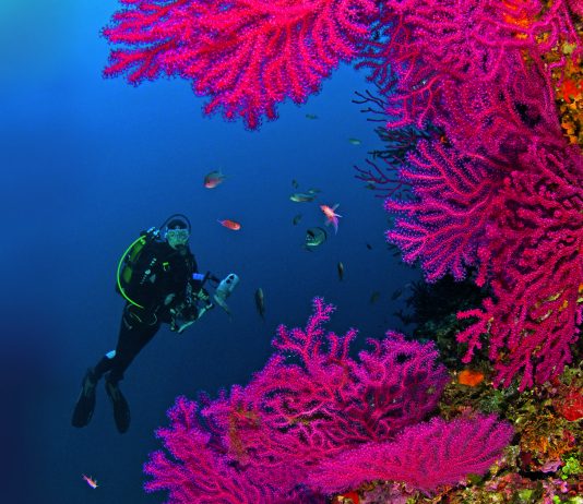Les couleurs de la Méditerranée