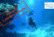 Avec la plateforme de réservation en ligne Diving Away, gagnez une plongée gratuite au Plongée Club de Cannes