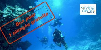 Avec la plateforme de réservation en ligne Diving Away, gagnez une plongée gratuite au Plongée Club de Cannes