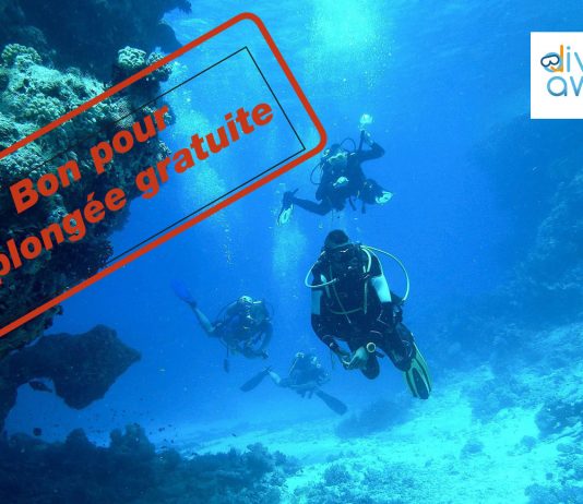 Avec la plateforme de réservation en ligne Diving Away, gagnez une plongée gratuite au Plongée Club de Cannes