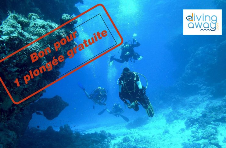 Avec la plateforme de réservation en ligne Diving Away, gagnez une plongée gratuite au Plongée Club de Cannes