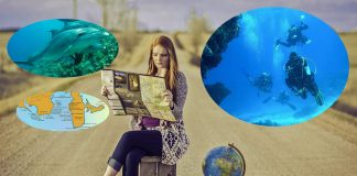 Comment trouver le spot de plongée de ses rêves