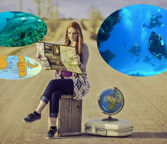 Comment trouver le spot de plongée de ses rêves