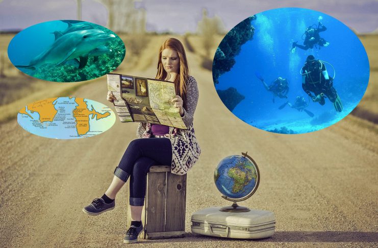 Comment trouver le spot de plongée de ses rêves
