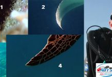 Grand concours de l’été : une plongée d’initiation au recycleur à gagner