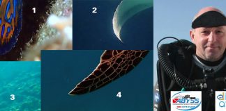 Grand concours de l’été : une plongée d’initiation au recycleur à gagner