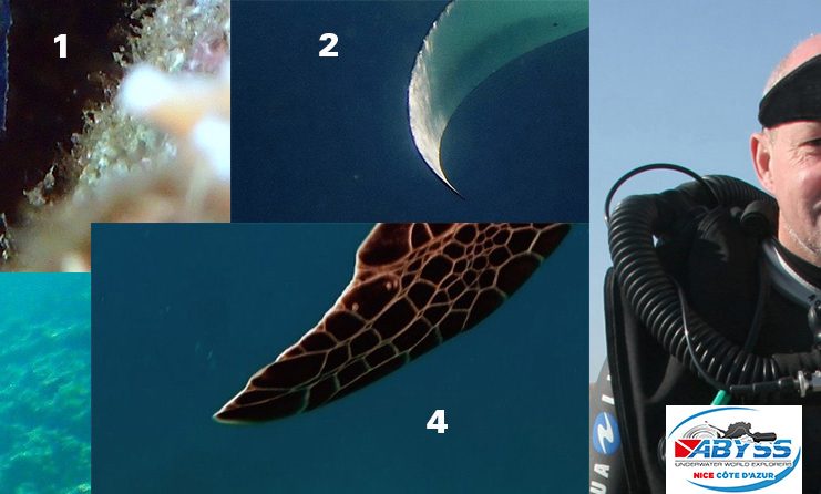 Grand concours de l’été : une plongée d’initiation au recycleur à gagner