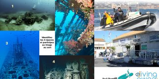 2e grand concours de l’été : 4 plongées épaves à gagner