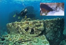 Plonger sur les épaves en France… et dans le monde