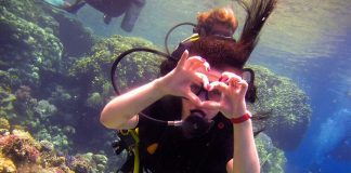 Alfred à Hurghada : une vocation, accueillir et guider les touristes et les plongeurs