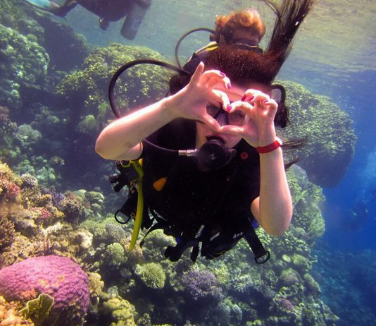 Alfred à Hurghada : une vocation, accueillir et guider les touristes et les plongeurs