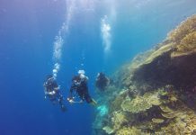 Comment organiser son voyage plongée facilement ? Les 3 étapes pour réussir son séjour et ses plongées !