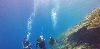 Comment organiser son voyage plongée facilement ? Les 3 étapes pour réussir son séjour et ses plongées !