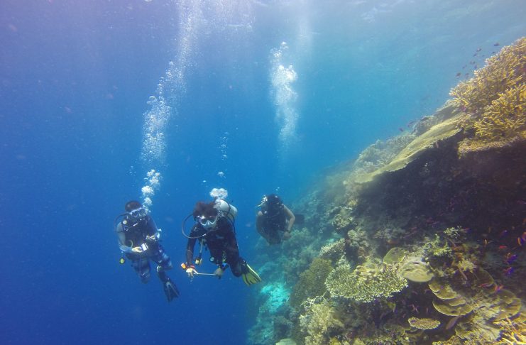 Comment organiser son voyage plongée facilement ? Les 3 étapes pour réussir son séjour et ses plongées !