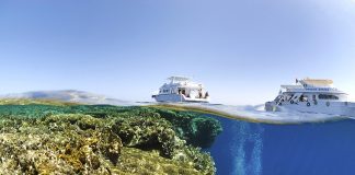Plongée en Egypte : 5 bonnes raisons de plonger en Mer Rouge – 1ère partie