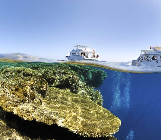 Plongée en Egypte : 5 bonnes raisons de plonger en Mer Rouge – 1ère partie
