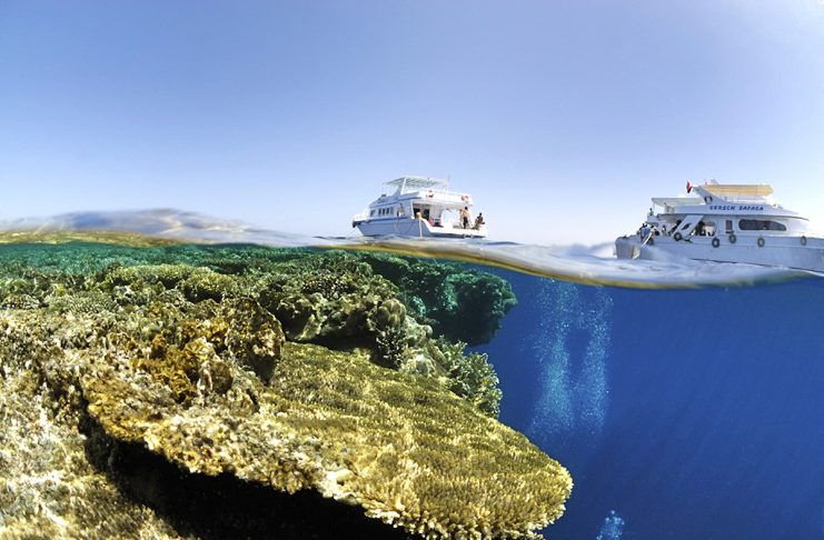 Plongée en Egypte : 5 bonnes raisons de plonger en Mer Rouge – 1ère partie