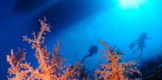 Christian Iquia, organisateur d’expéditions plongée