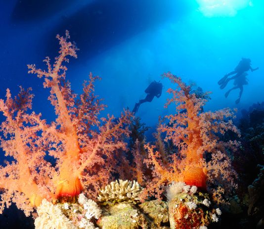 Christian Iquia, organisateur d’expéditions plongée