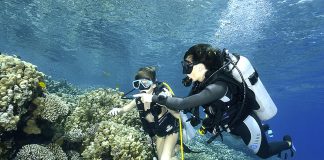 Plongée en Egypte : les trésors de la mer Rouge – 2e partie