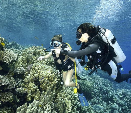 Plongée en Egypte : les trésors de la mer Rouge – 2e partie