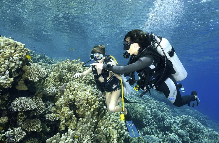 Plongée en Egypte : les trésors de la mer Rouge – 2e partie