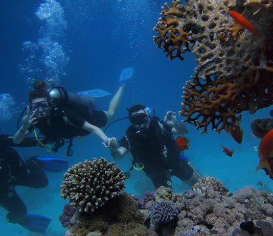 Alysés Plongée, un petit bout de France à Hurghada