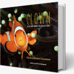 Clown, la véritable histoire du poisson-clown