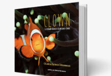 Clown, la véritable histoire du poisson-clown
