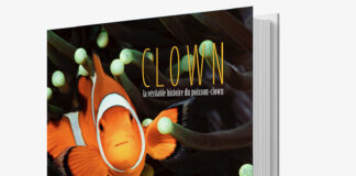Clown, la véritable histoire du poisson-clown