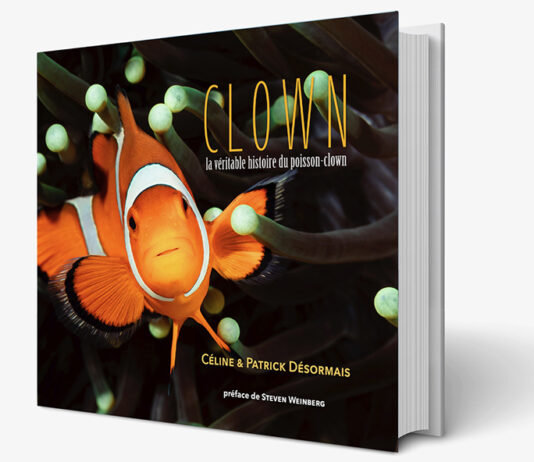 Clown, la véritable histoire du poisson-clown