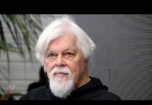 Paul Watson, de Sea Shepherd, était au Salon de la plongée 2025